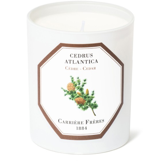 Cedar Scented Candle - Cedar 185g - Colorless
